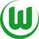 【联赛宝典】2013-14赛季德甲-列强分析-禾夫斯堡 VfL Wolfsburg