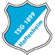 【联赛宝典】2013-14赛季德甲-列强分析-贺芬咸 TSG Hoffenheim