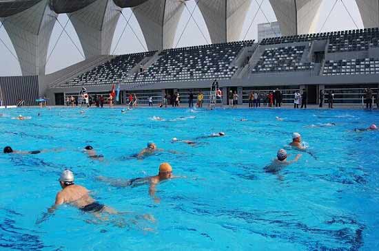 跳水世界杯下周二上海开赛 中国队97冠不愧梦